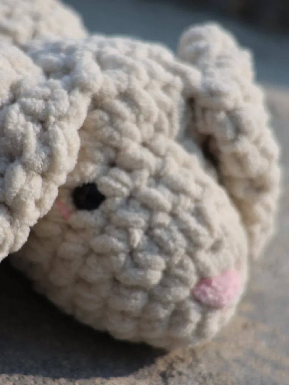 Biscuit the Bunny
